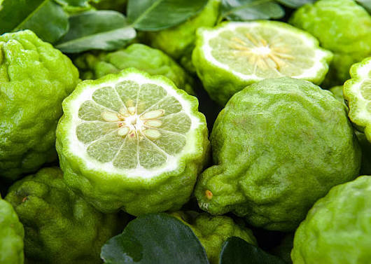 برغموت